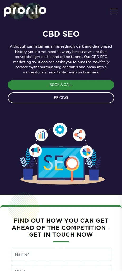 portfolio-pror.io_cbd-seo_